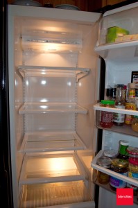 Empty fridge shelves